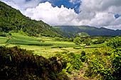 Azzorre - Isola Sao Miguel, Furnas. Nei presso del Lago di Furnas. 